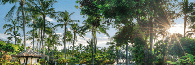 CELEBRATE 30 YEARS OF BALI’S DISTINCTIVE RESORT AT THE LAGUNA, A LUXURY COLLECTION