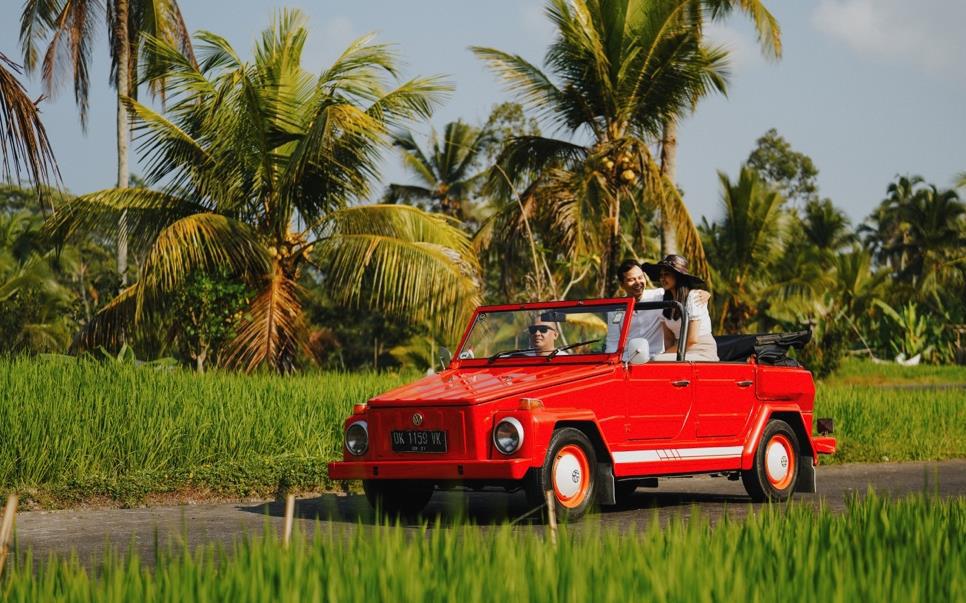 Embrace the Journey with Open-Air Safari Adventures in Classic Volkswagens
