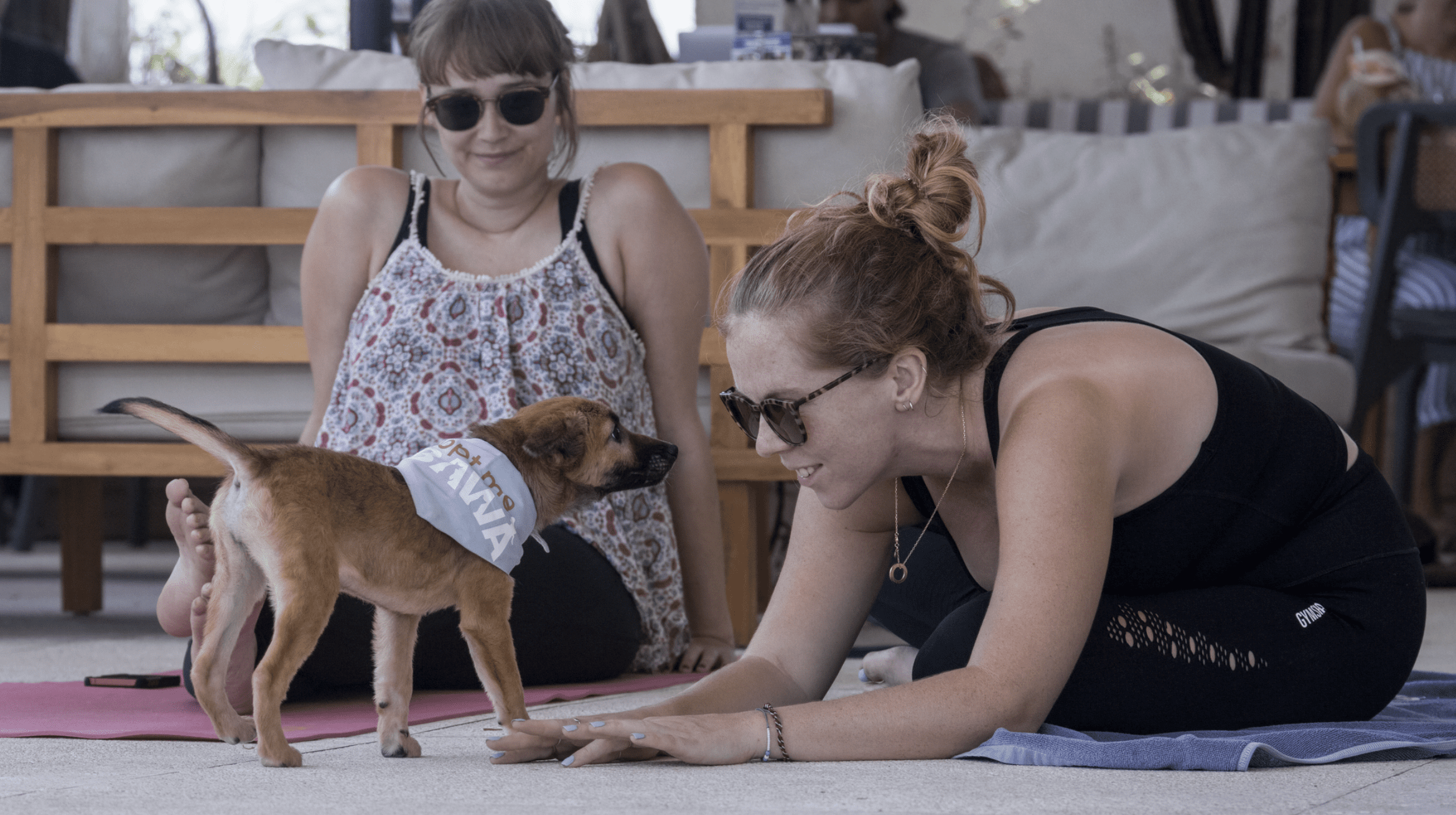 Paws & Pose: A Heartwarming Wellness Experience with Yoga Puppies in Collaboration with BAWA Bali at The Westin Resort Ubud