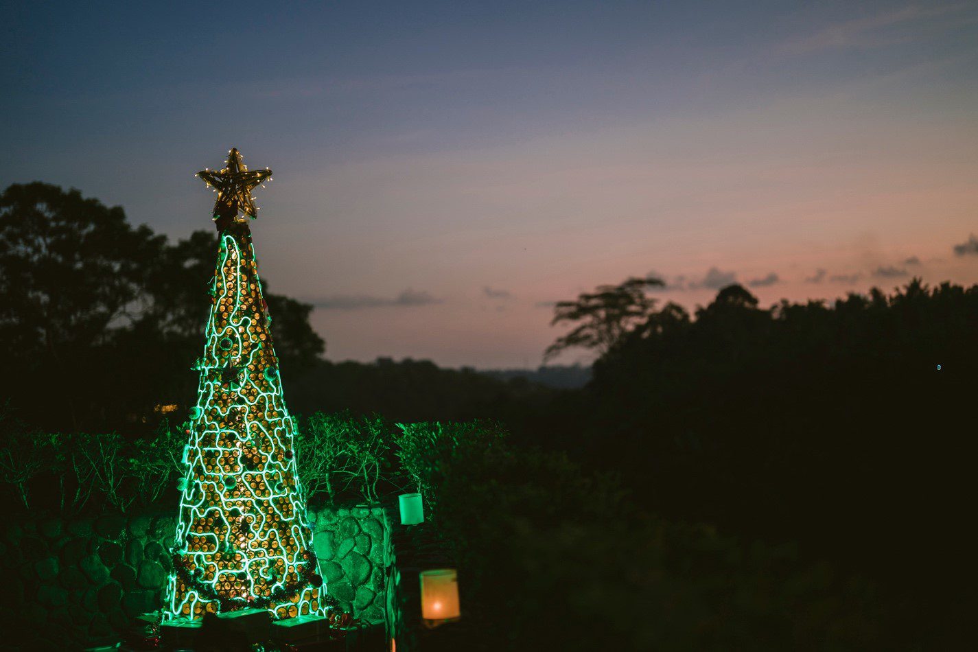 Joyful Feasts and Serene Escapes at Alila Ubud