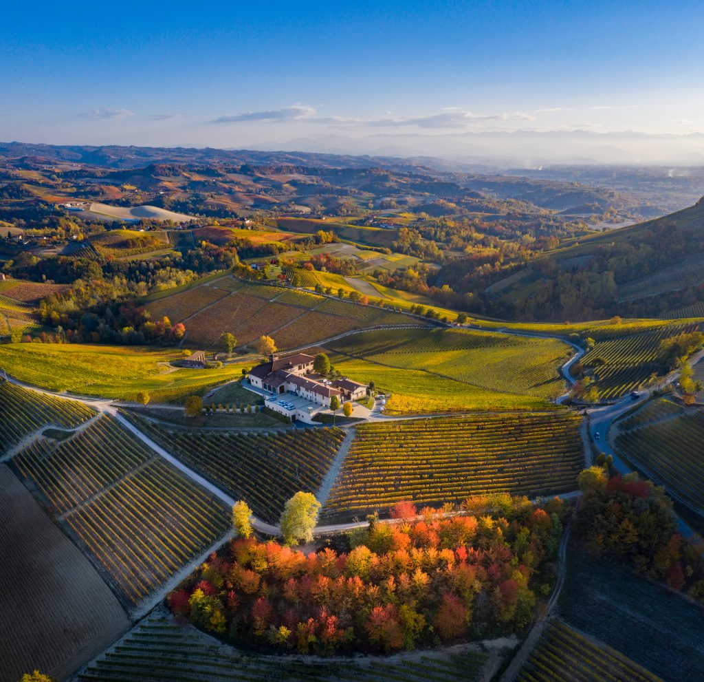 A Legacy of Vision and Courage: How Azienda Agricola Cogno Redefined Barolo with Passion and Purpose