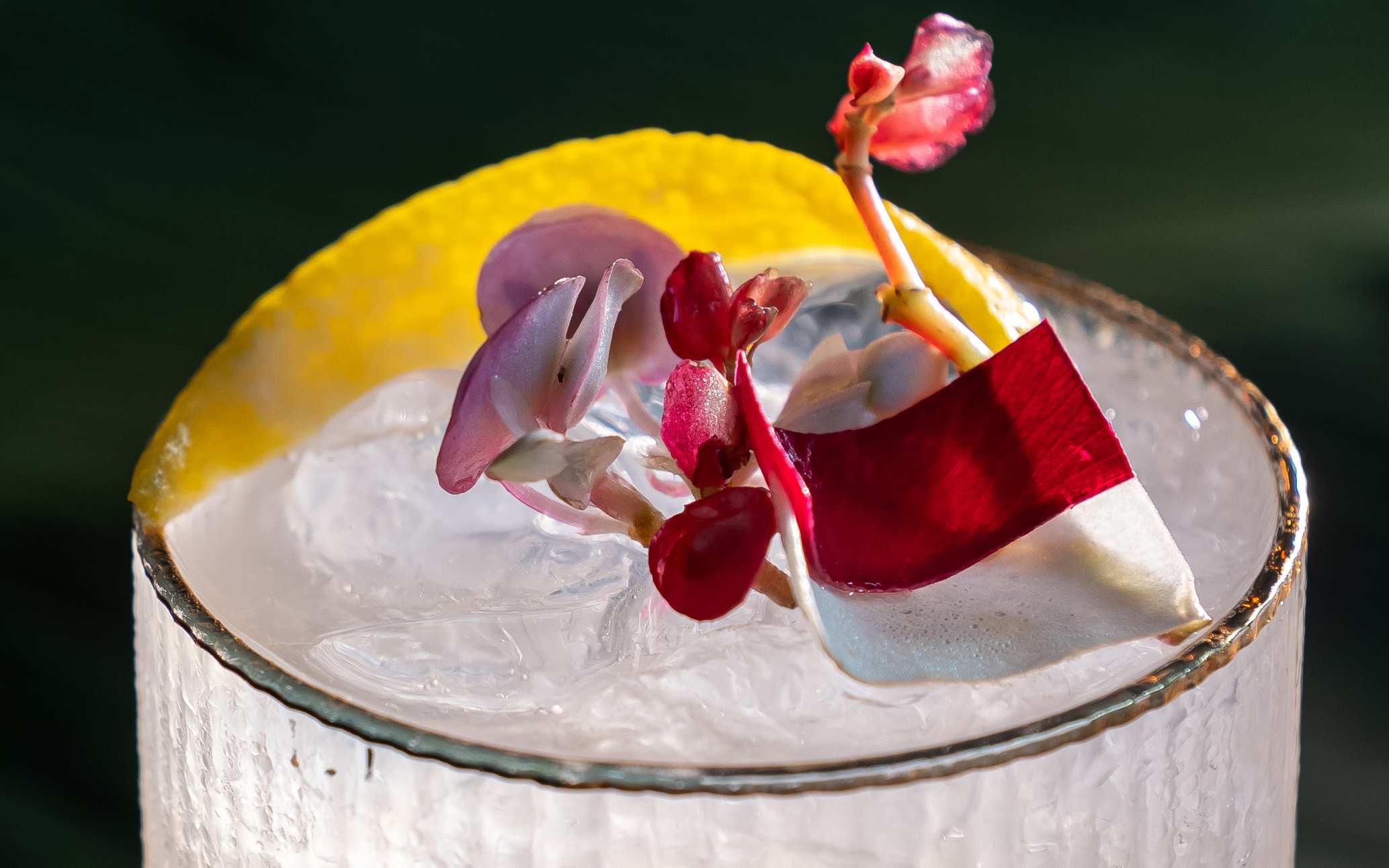 Freedom & Fusion: Celebrating Culinary Art and Culture at Blue Karma Secrets