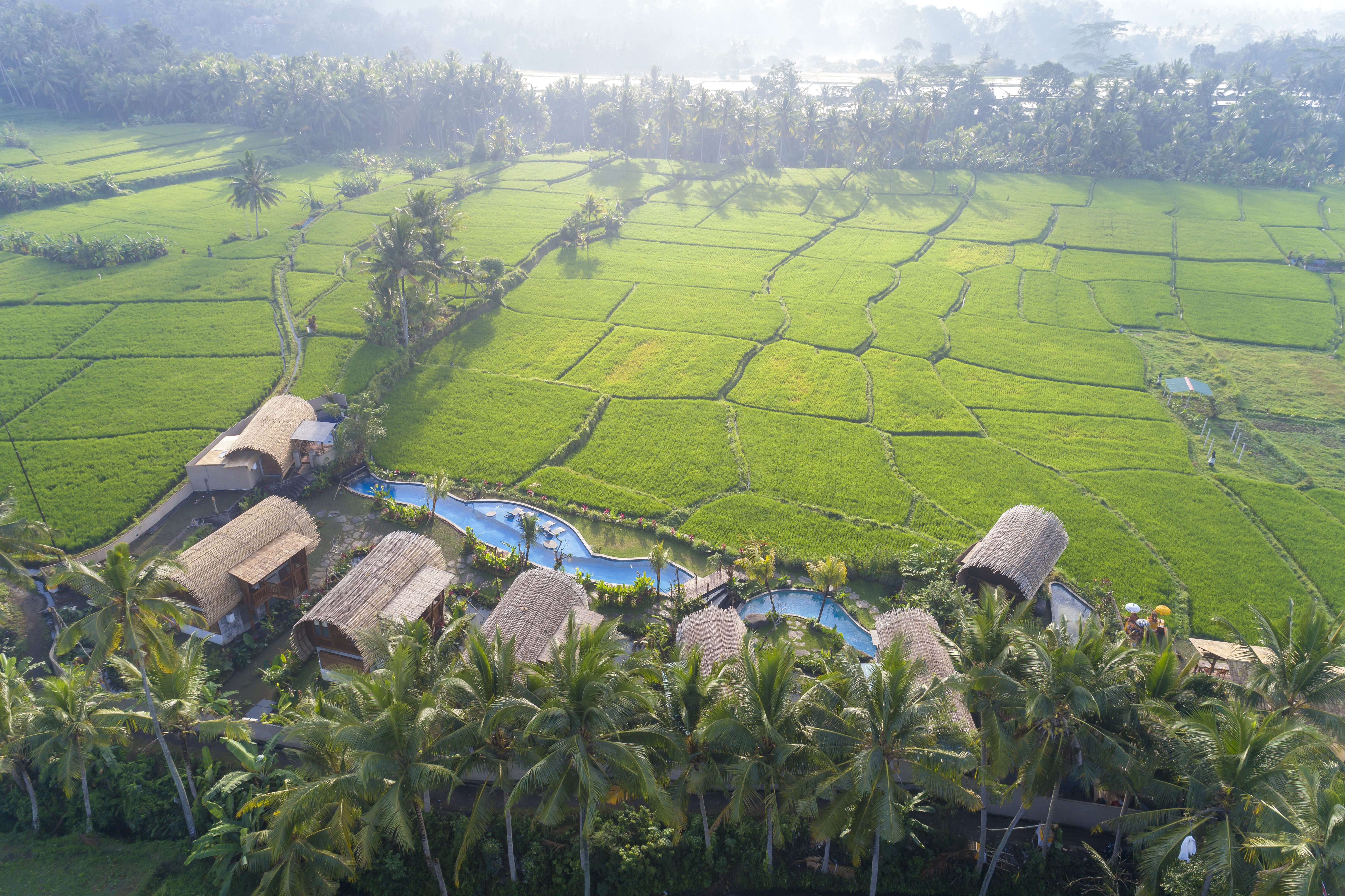 Beehouse Dijiwa Ubud Elevates Romance with Adults-Only Villas and a Serene Lagoon Pool